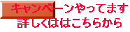 �ẴL�����y�[���Ł`��