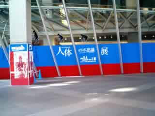 �l�̂̕s�v�c�W�����