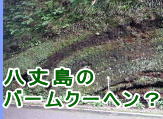 䓇 o[N[wH