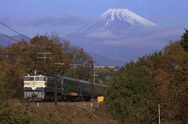 fujinozomu