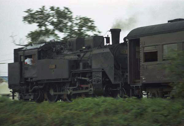 nittyu-C11