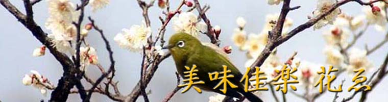 �z�[���y�[�W �^�C�g��