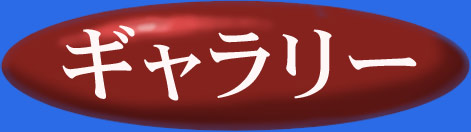 �t�H�g�M�������[