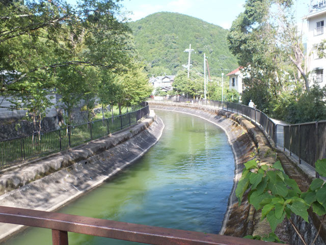 京都疏水