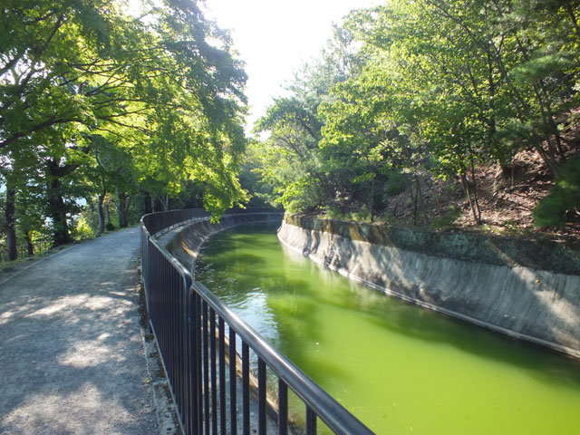 京都疏水