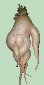 �卪