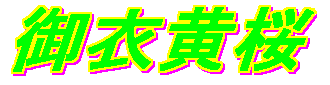 ���傢����������