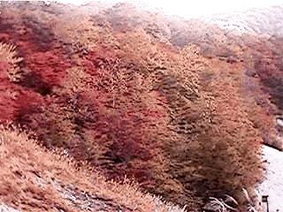 �g�t