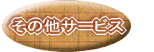 ̑T[rX