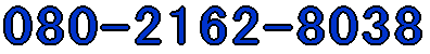 080-2162-8038 