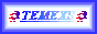 TEMEXS