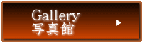 Gallery ʐ^