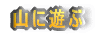 �R�ɗV��
